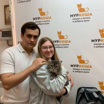 Трубочист