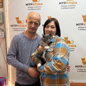 Укси