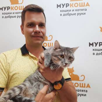 Урбино
