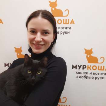 Виола 
