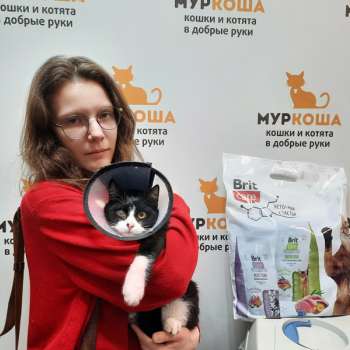 Юнга 