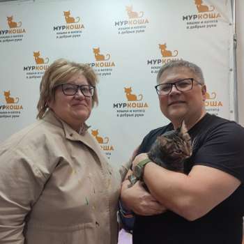 Заяна
