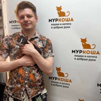 Зимомо