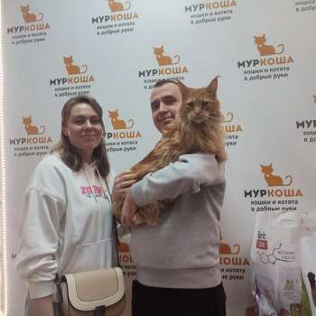 Золотея