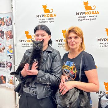 Блэкмун