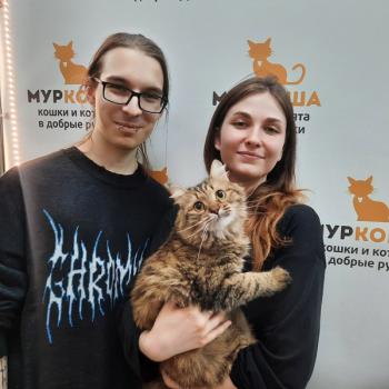 Брионни