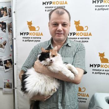 Клера 