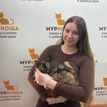 Маритта