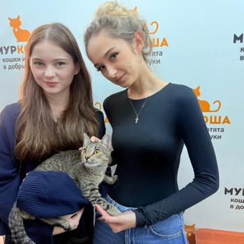Марни