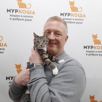 Марселан