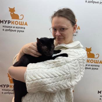 Маттиола