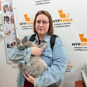 Милентина