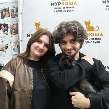 Муарчик