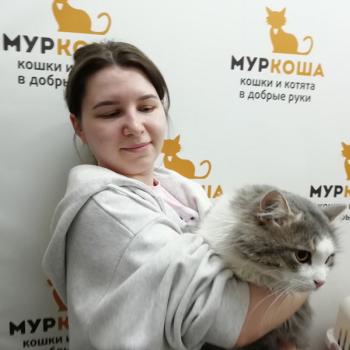 Ормель