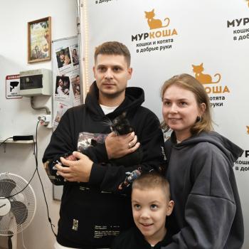 Панк