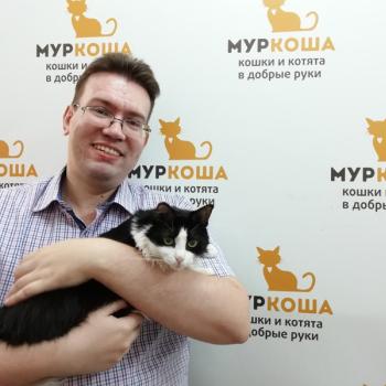 Папирус