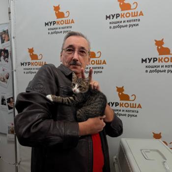 Пейсли