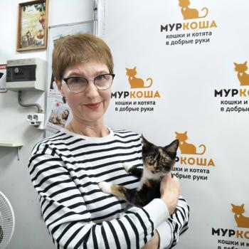 Пилея