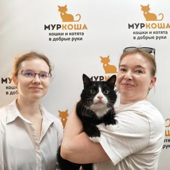 Плюшкин