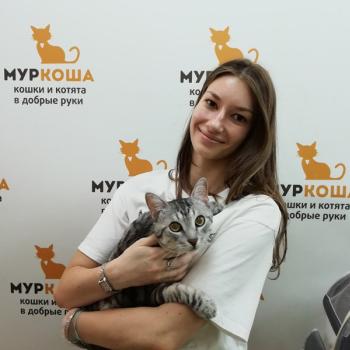 Полосёнок