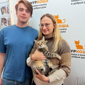 Просекко