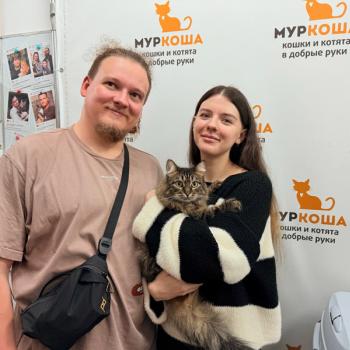 Ряженка