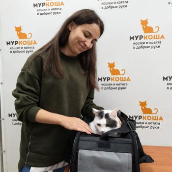 Труша