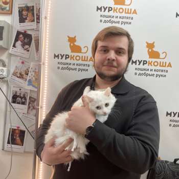 Аскелла