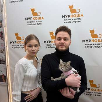 Айми
