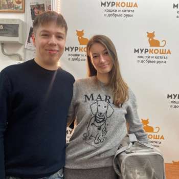 Балалайка