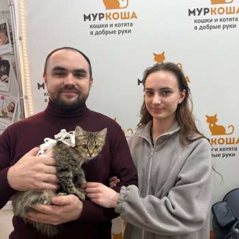 Бобрита