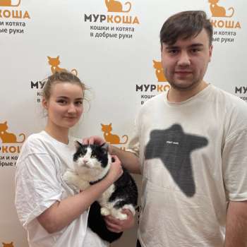 Бонито