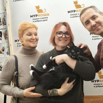 Декаданс