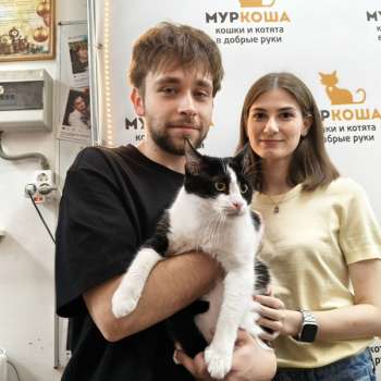 Денчик