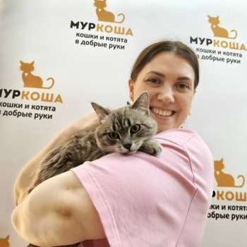 Эллиот