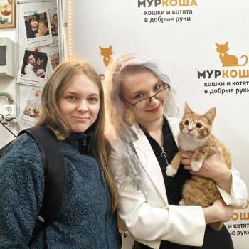 Файтер