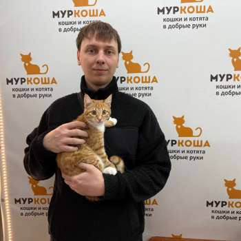 Фокси