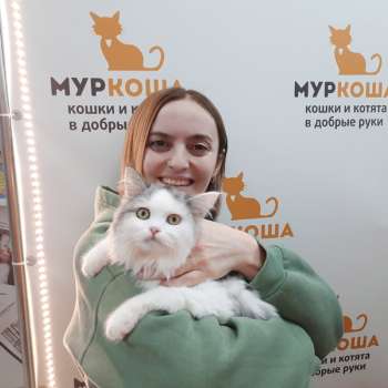 Гравюра