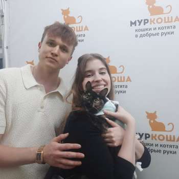 Календула