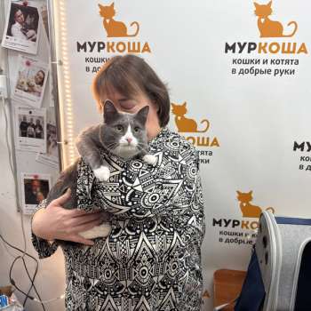 Канопус