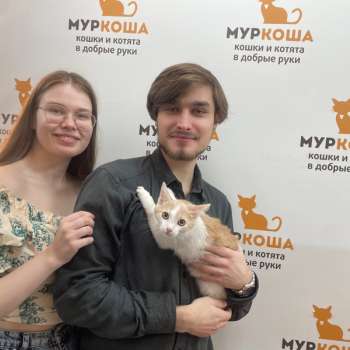Хэмлин