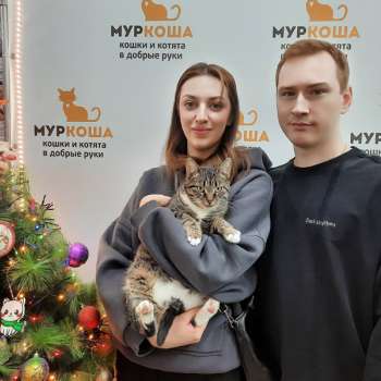 Кирисса