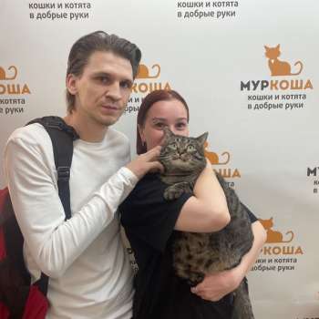 Кукизавр 