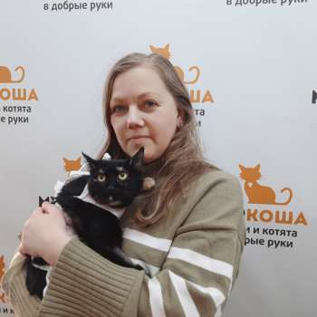 Квинта