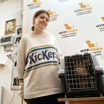 Липонька