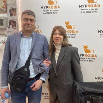 Маоли