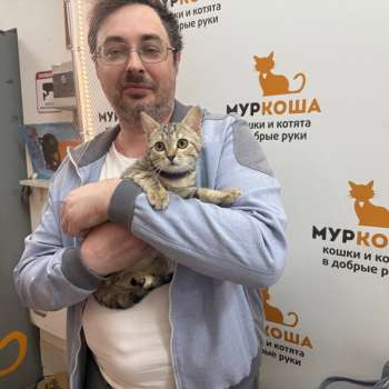 Марсита