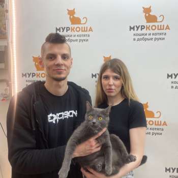 Мазарини
