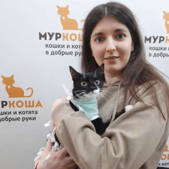Монарда