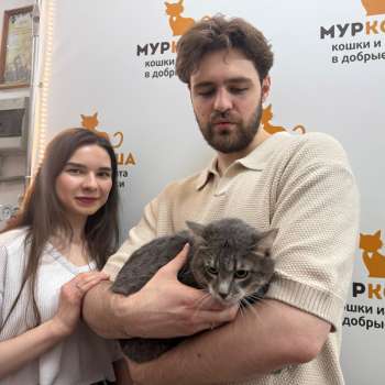 Моррис